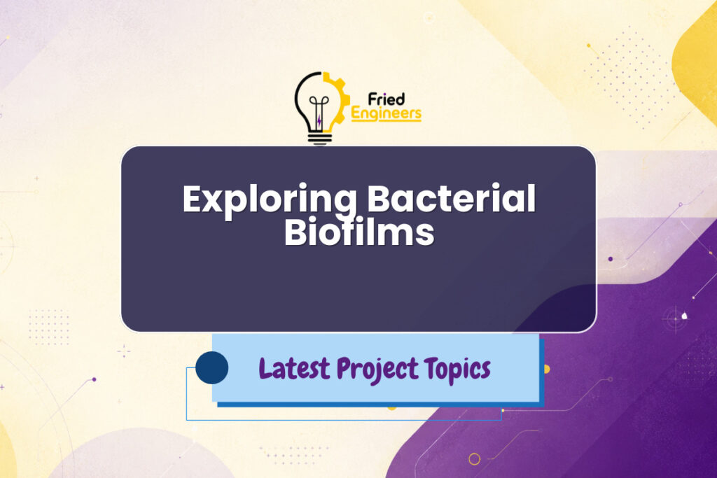Exploring Bacterial Biofilms - Fried Engineers Project Topic