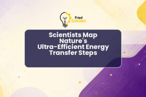 Scientists Map Nature’s Ultra-Efficient Energy Transfer Steps